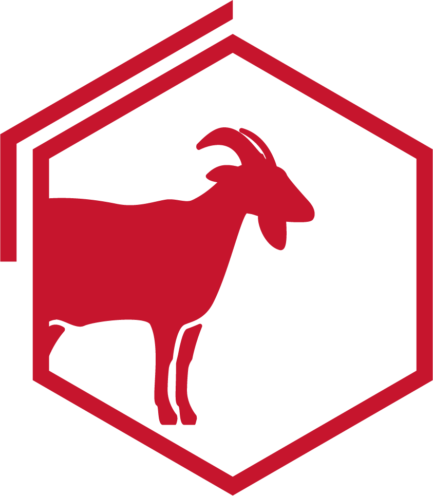 espece ruminaux