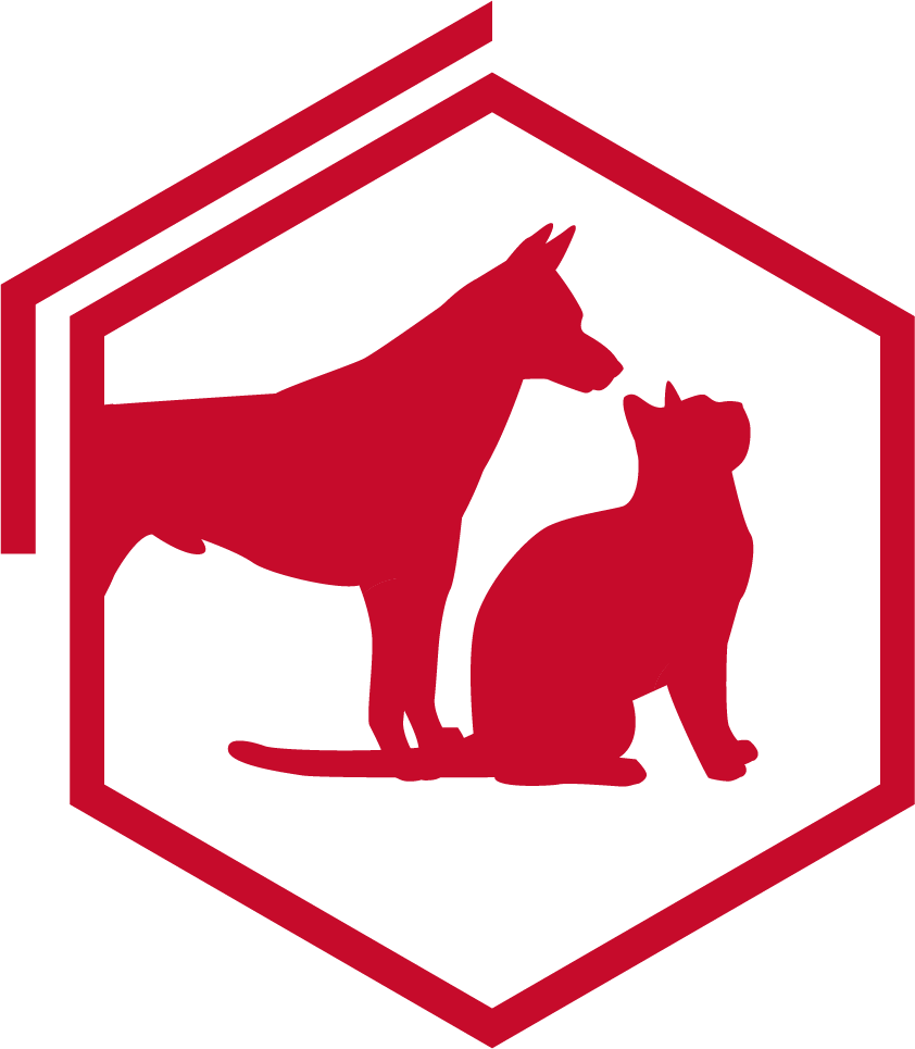 especes carnivores