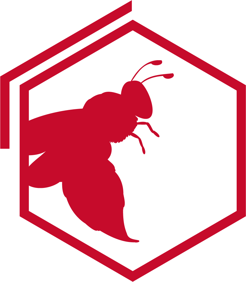 espece abeilles